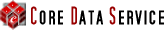 Core Data Service