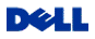 Dell Inc.