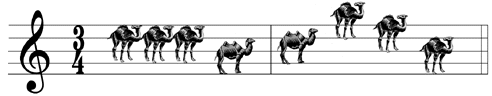 Music and Camels
