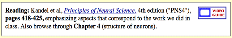 Olivo Figure 1