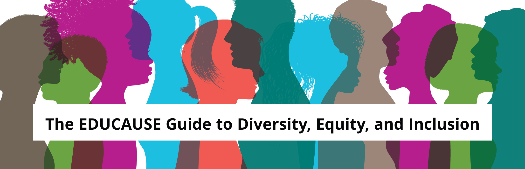 Diversity, Equity, & Inclusion