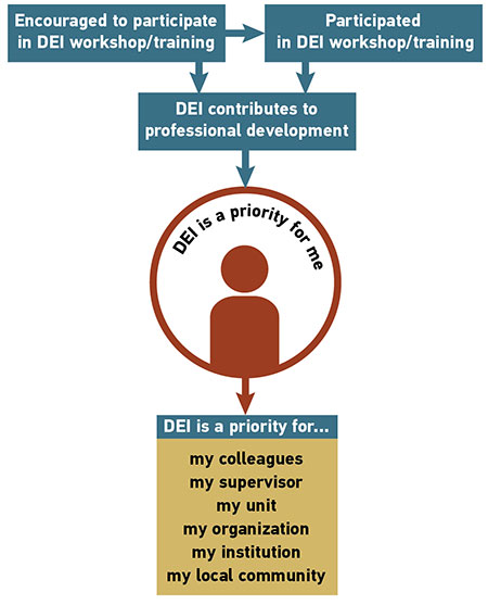 Encouraged to participate  in DEI workshop/training  Arrow leads to the following Participated  in DEI workshop/training  Arrows lead from “Encouraged to participate in in DEI workshop/training” and “Participated in DEI workshop/training” to the following DEI contributes to  professional development  Arrow leads to the following DEI is a priority for me  Arrow leads to the following DEI is a priority for...  my colleagues my supervisor my unit my organization my institution my local community