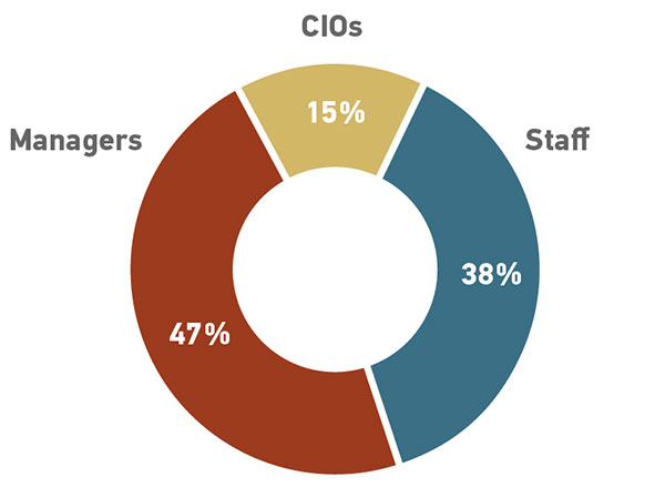 CIOs  15%  Staff  38%  Managers  47%