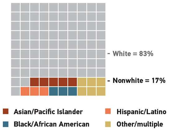 Graph showing the breakdown of IT professionals by ethnicity. White = 83% Nonwhite = 17% (made up of 5% Asian/Pacific Islander, 3% Black/African American, 3% Hispanic/Latino and 6% Other/multiple)