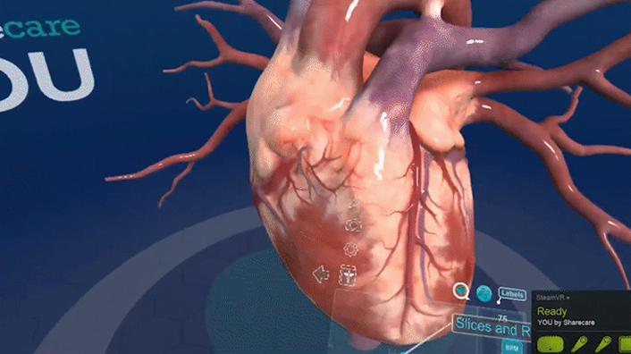 picture of a simulation of blood flow inside a heart