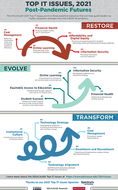 Top IT Issues, 2021 infographic thumbnail