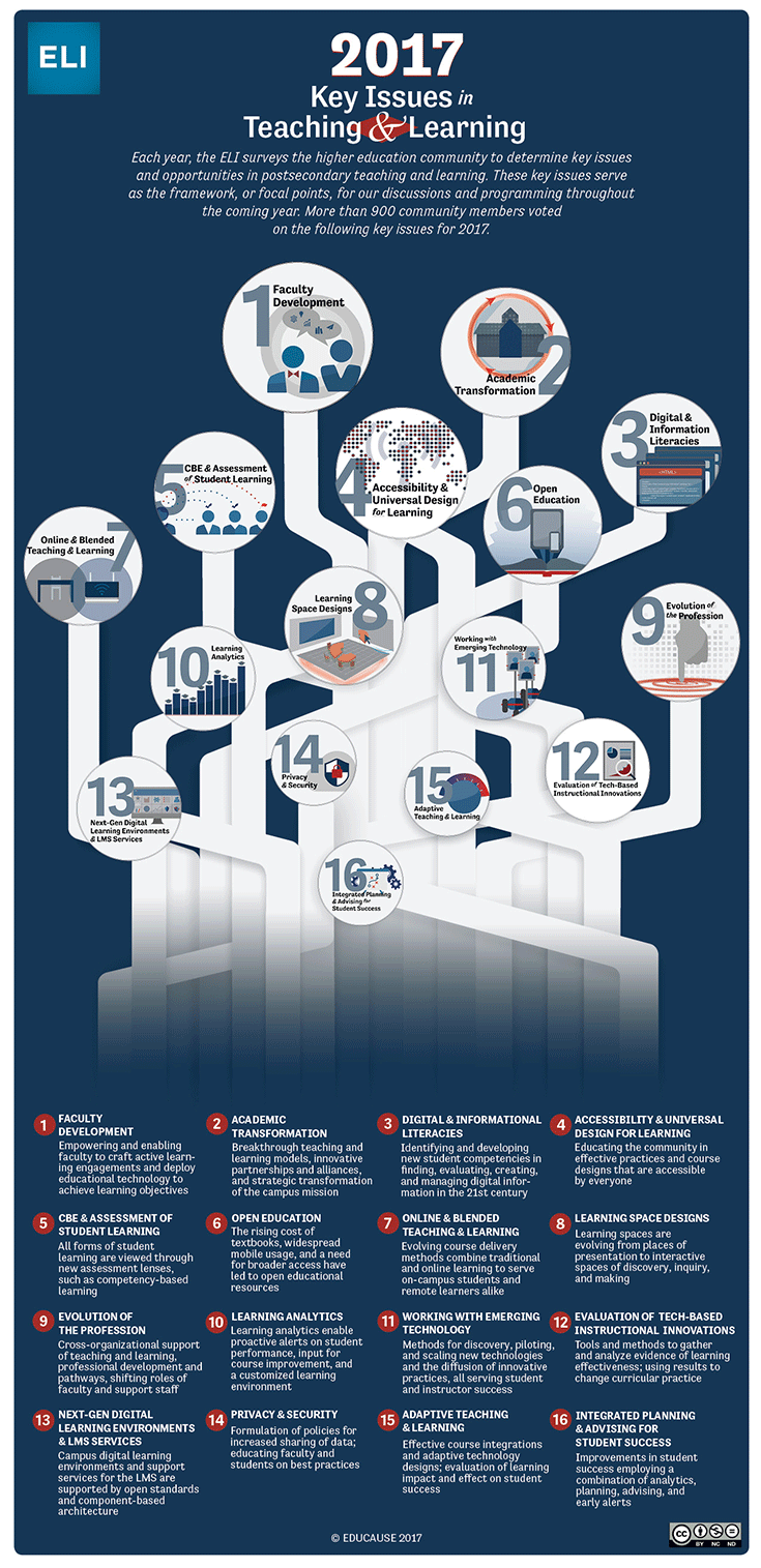 Infographic for Key Issues in Teaching and Learning for 2017