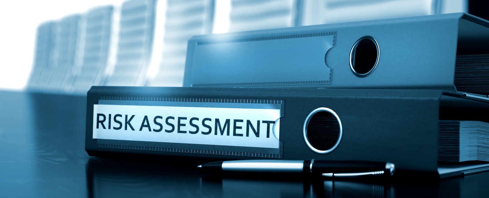 Stylized image of a binder with the words "Risk Assessment" written on the binding edge.