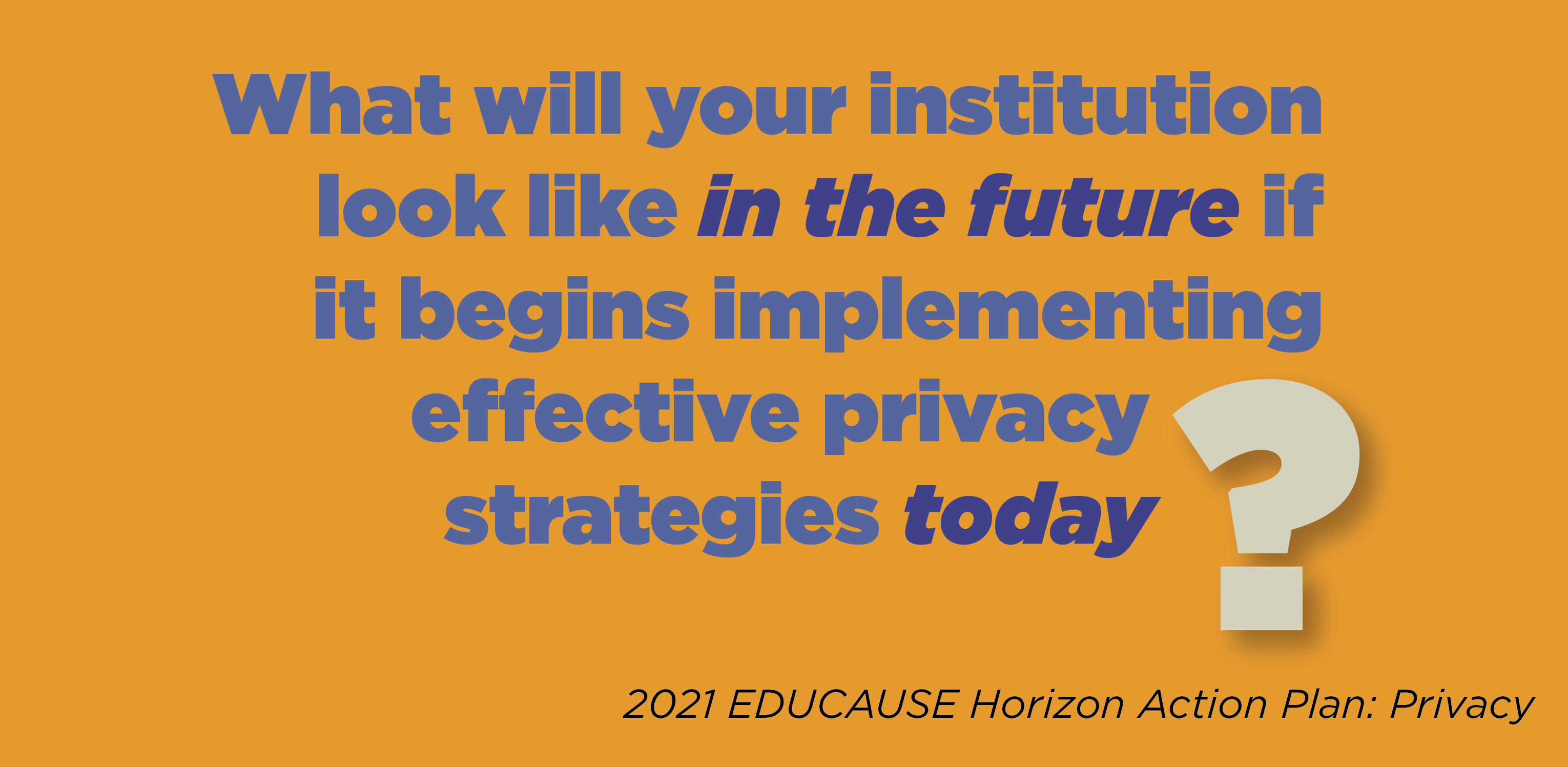 What will your institution look like in the future if it begins implementing effective privacy strategies today? 2021 EDUCAUSE Horizon Action Plan: Privacy